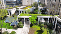 有三个细节和大师分享一